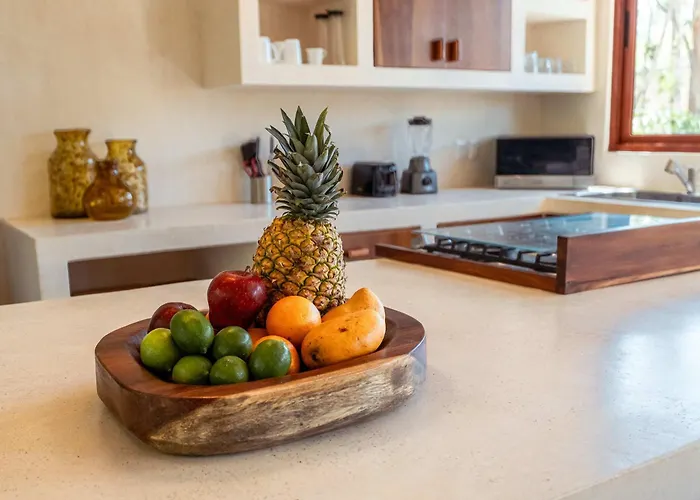 Ahal Holistika 3br Ground-floor Jungle Oasis With Plunge Pool Holiday home Tulum
