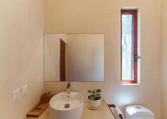 Ahal Holistika 3br Ground-floor Jungle Oasis With Plunge Pool *